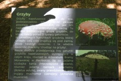 Kuznia-w-siodelku-Arboretum-10