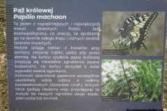 Kuznia-w-siodelku-Arboretum-17