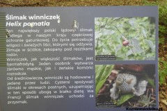 Kuznia-w-siodelku-Arboretum-19
