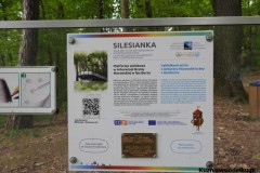 Kuznia-w-siodelku-Arboretum-4