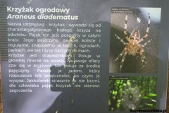 Kuznia-w-siodelku-Arboretum-8