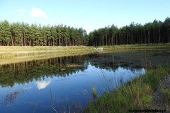 Kuznia-w-siodelku-Trasa-rowerowa-poszukiwanie-jeziorka-12