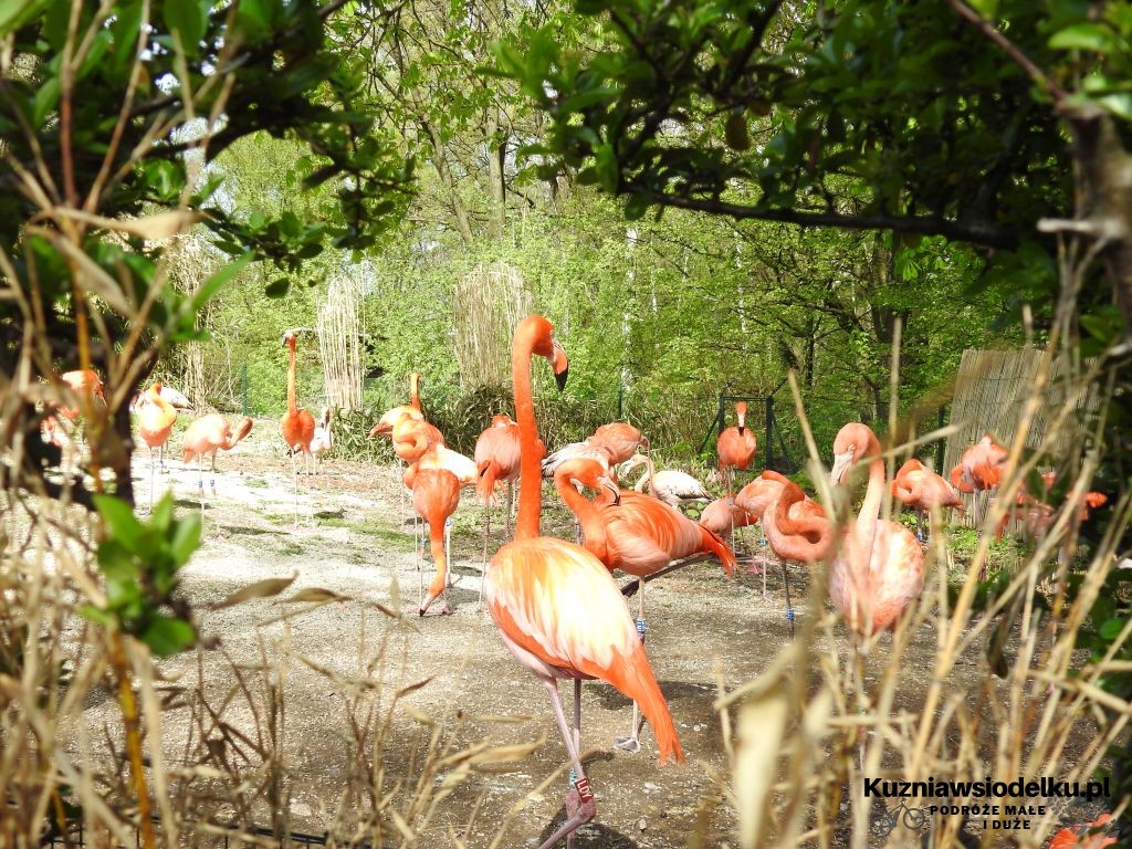 Zoo Ostrava