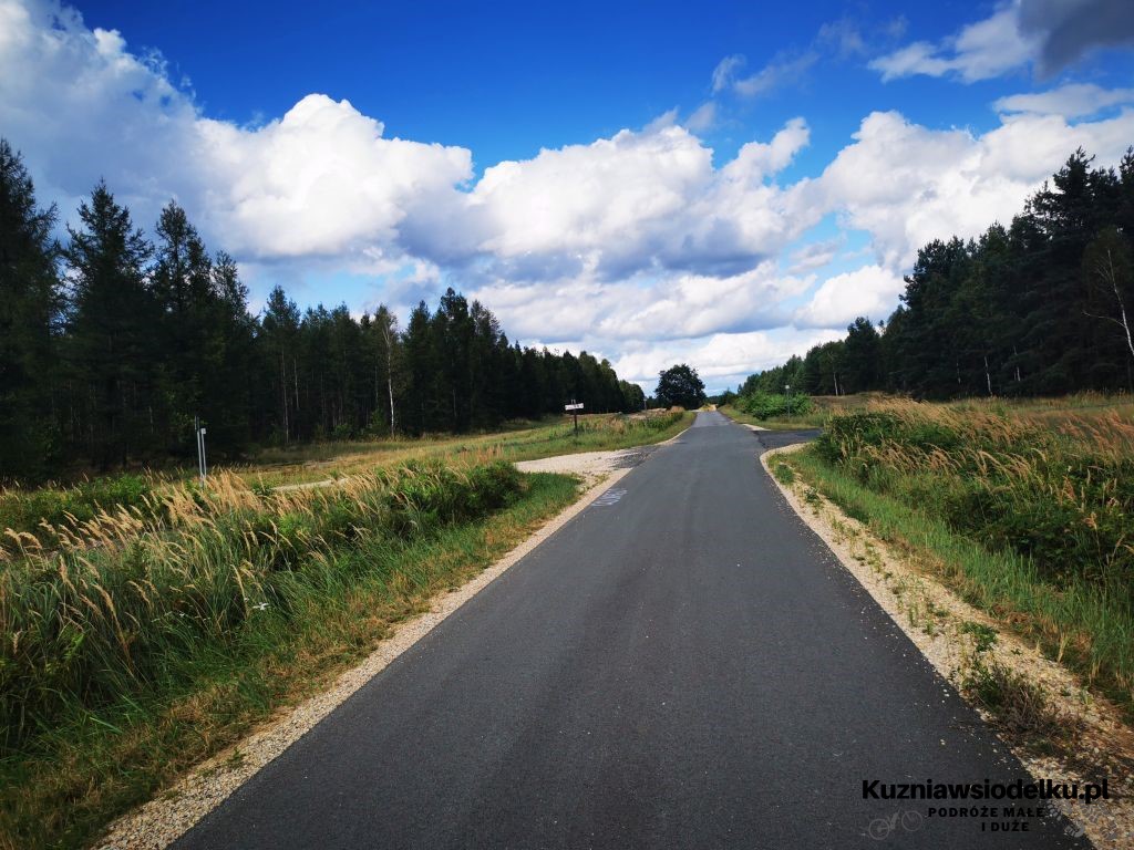 Leśna autostrada