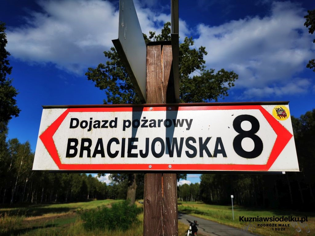 Braciejowska