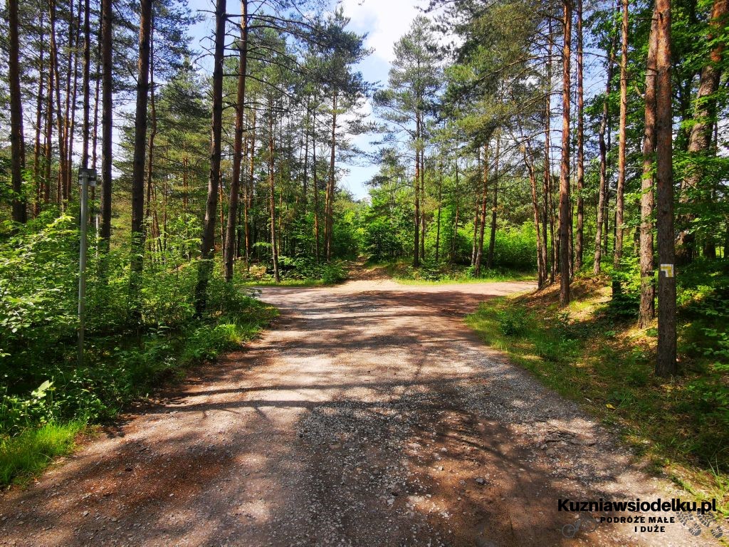 Skrzyżowanie torów kolejowych