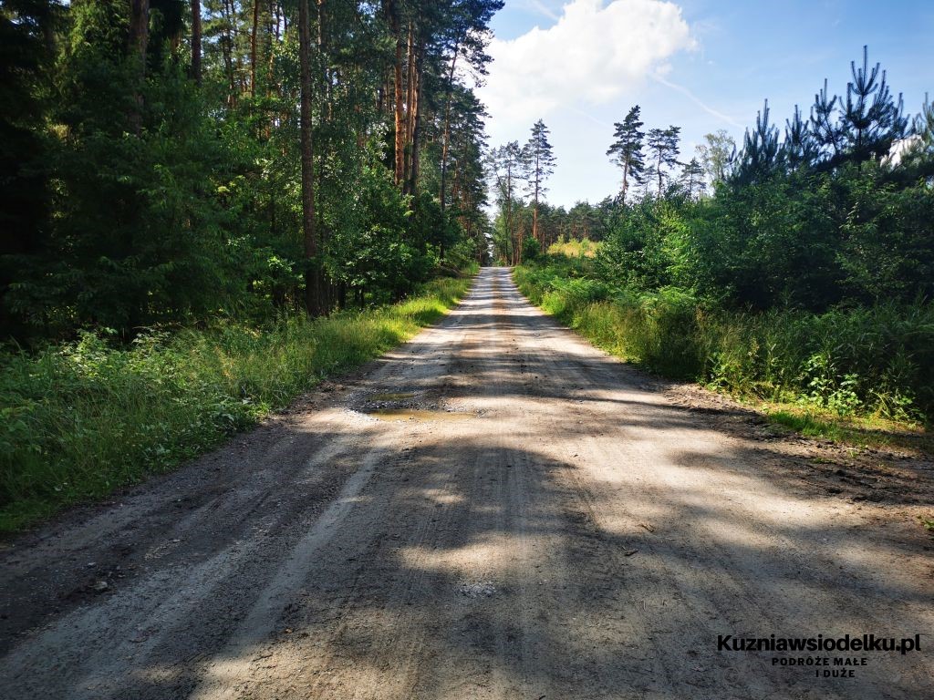 Skrzyżowanie torów kolejowych