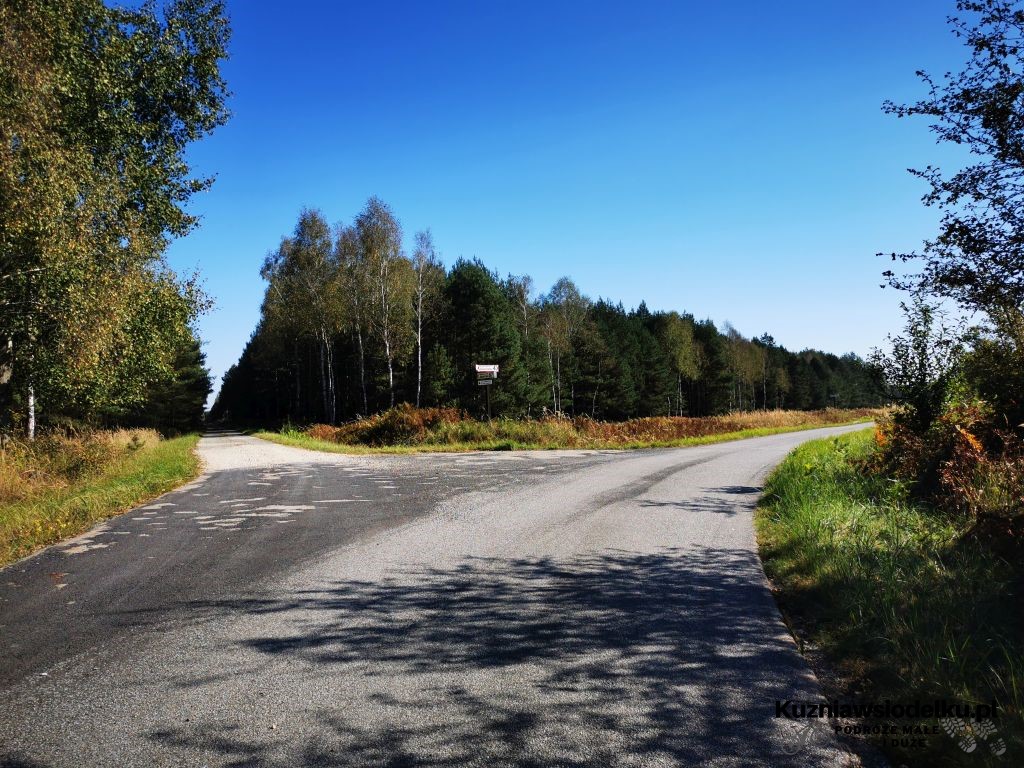 Leśna autostrada